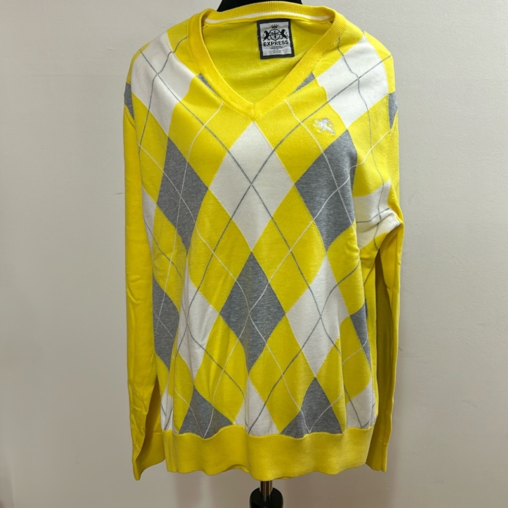 Express v neck plaid sweater